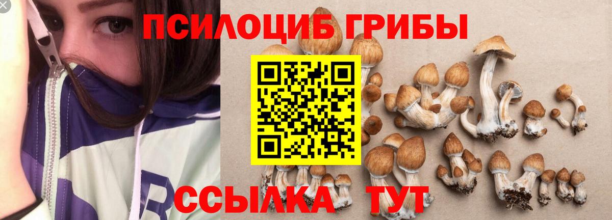 Южно-Сахалинск  магазин продажи   Вход с VPN  Псилоцибиновые грибы прущие грибы 